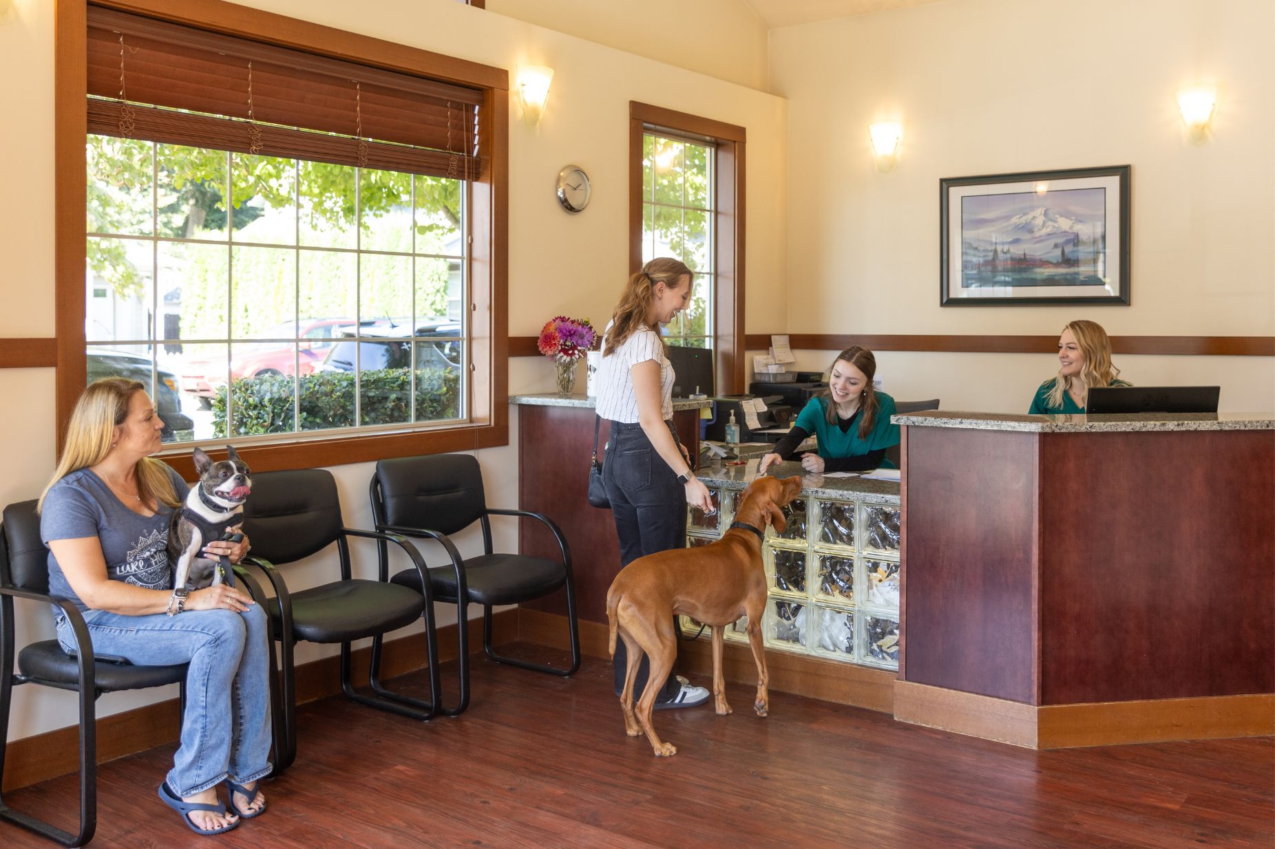About mountain view animal hospital vet in snohomish wa 98290