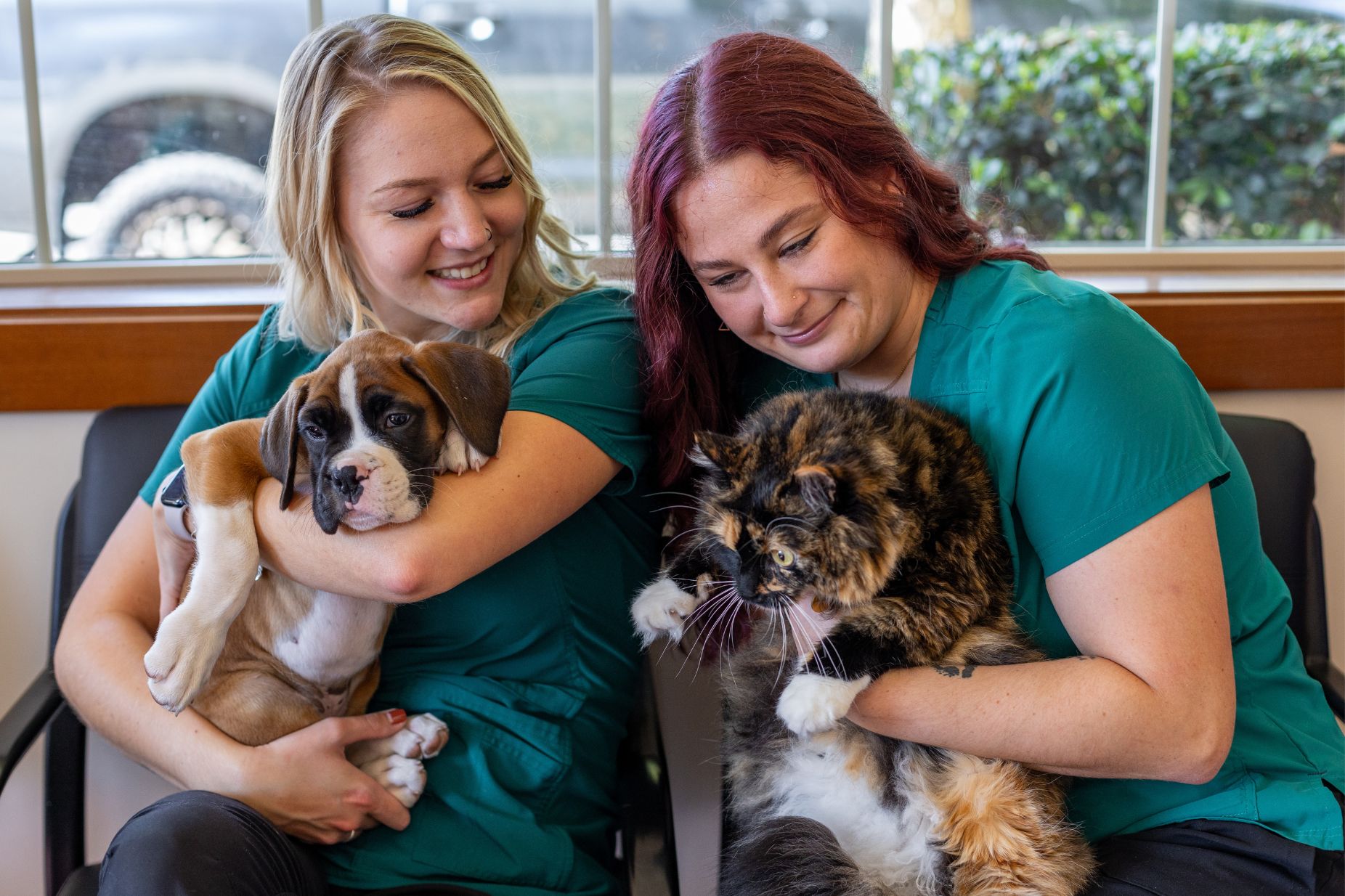 Mountain view animal hospital gallery vet clinic in snohomish wa 98290