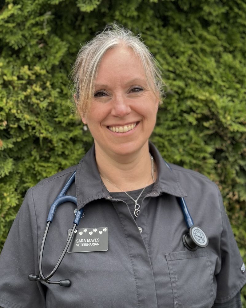 Dr. Sam Stevens